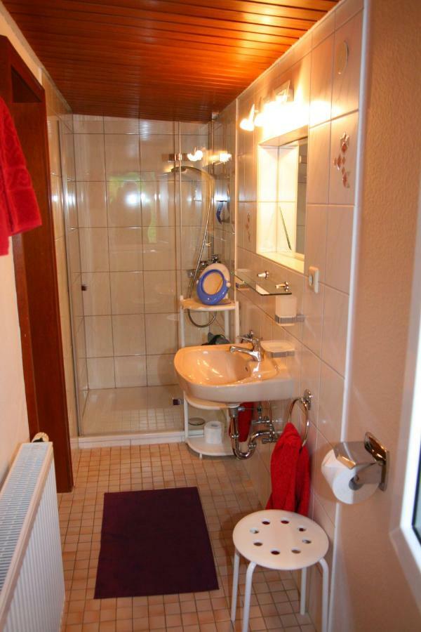 Apartment Baden Baden Haus Am Ibachweg Εξωτερικό φωτογραφία