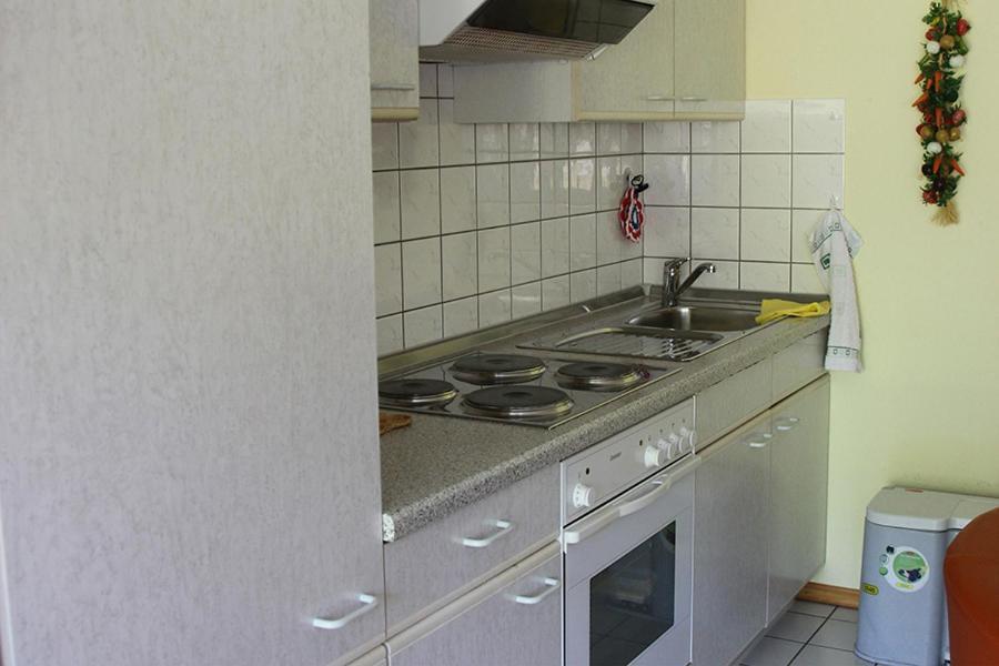 Apartment Baden Baden Haus Am Ibachweg Εξωτερικό φωτογραφία