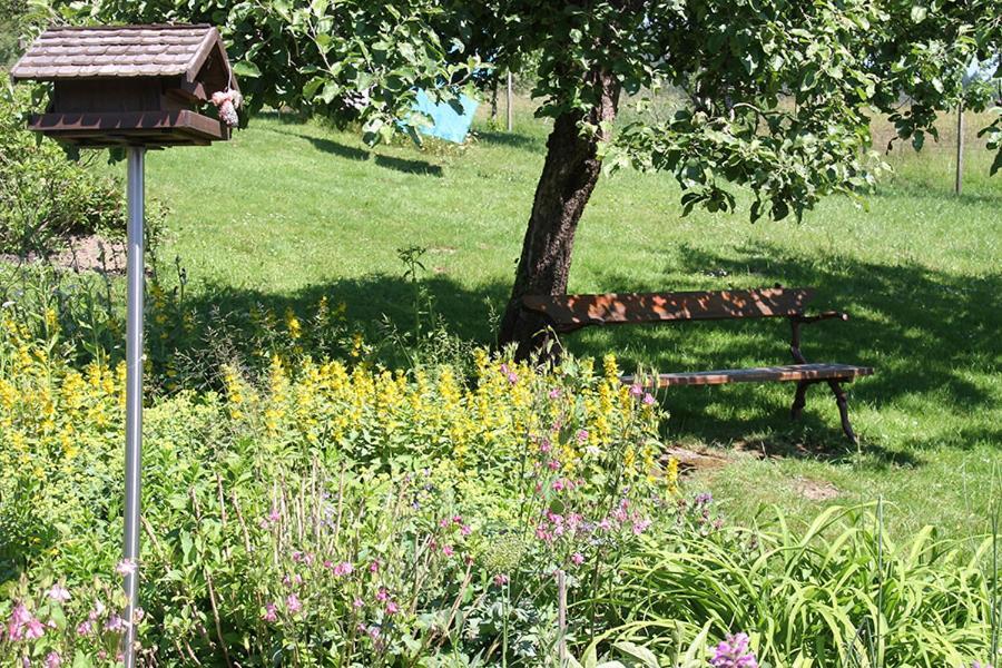 Apartment Baden Baden Haus Am Ibachweg Εξωτερικό φωτογραφία