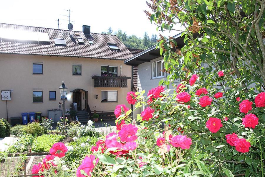 Apartment Baden Baden Haus Am Ibachweg Εξωτερικό φωτογραφία