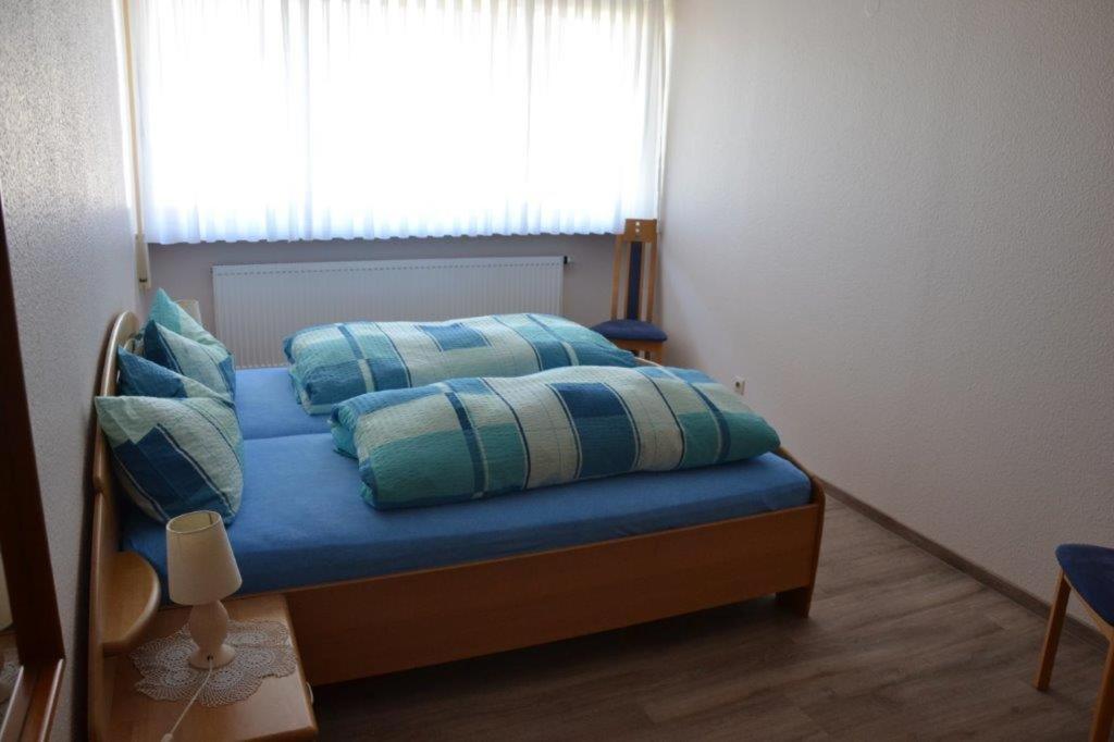 Apartment Baden Baden Haus Am Ibachweg Εξωτερικό φωτογραφία